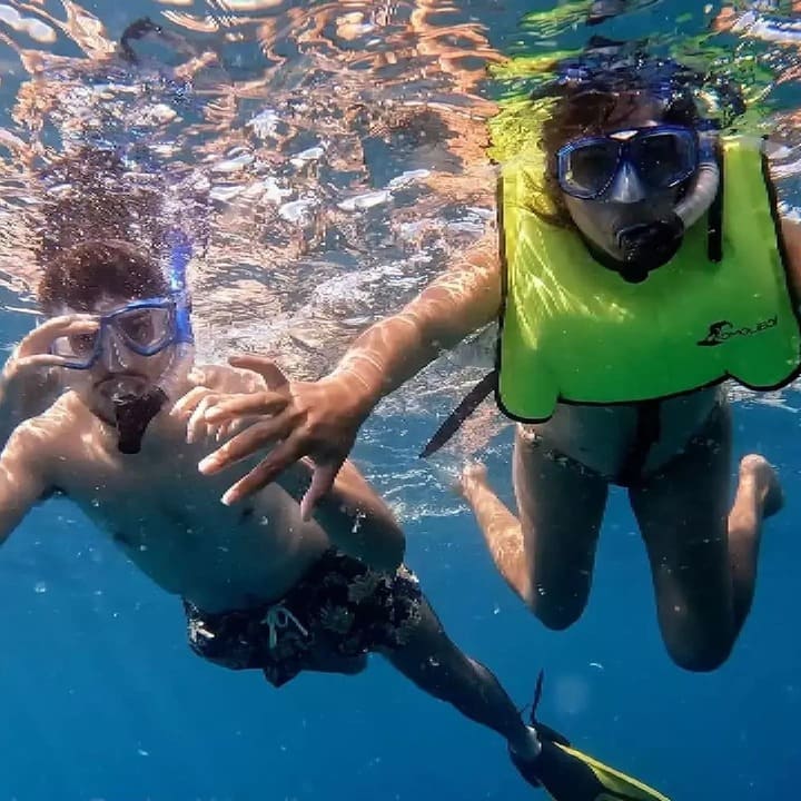 A sea turtle swimming underwater